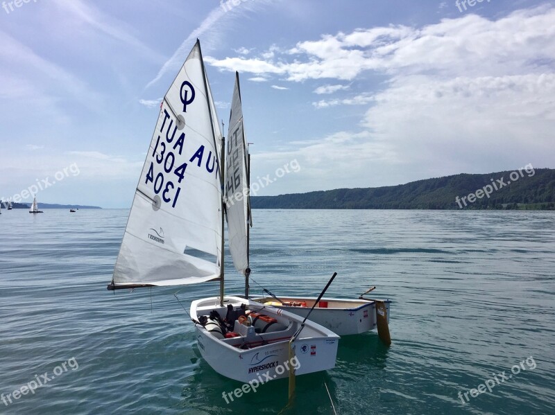 Opti Regatta Lake Constance Sail Sailing Boat