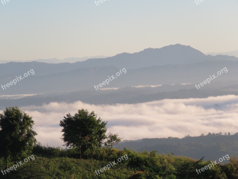 Nilgiri Cloud Tree Nature Sky