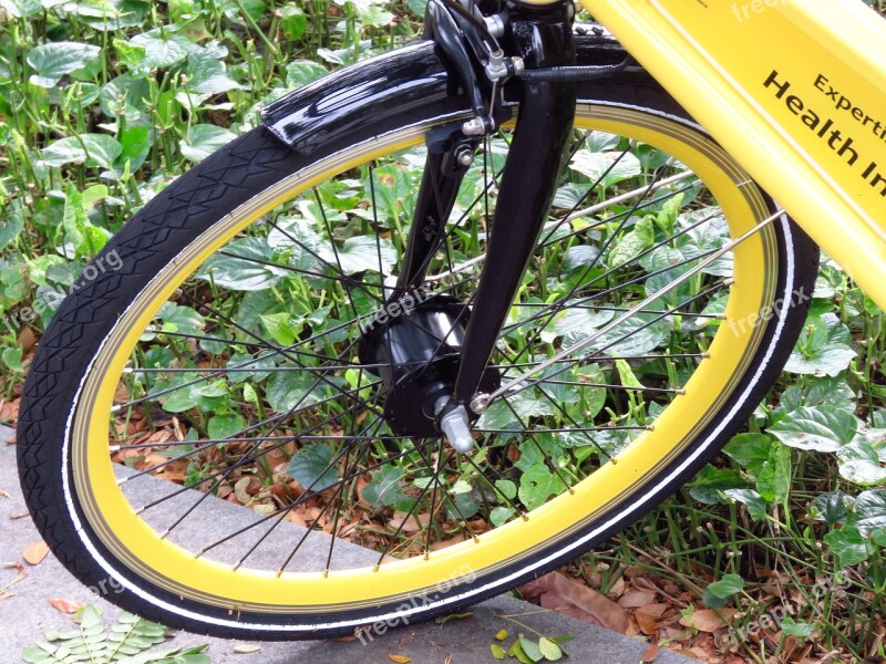 Bicycle Wheel Yellow Bike Biking