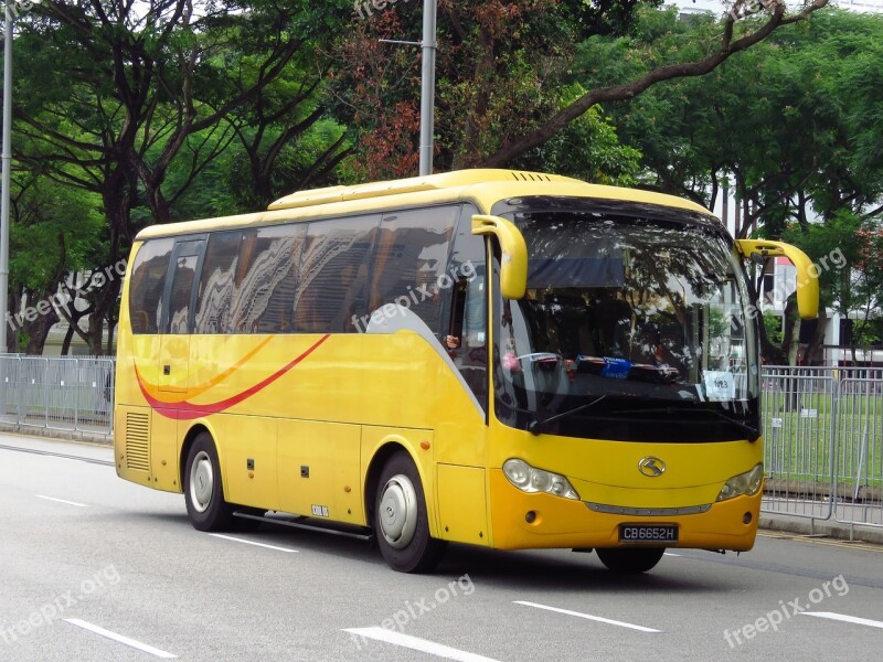 Bus Singapore Transport Yellow Bus City