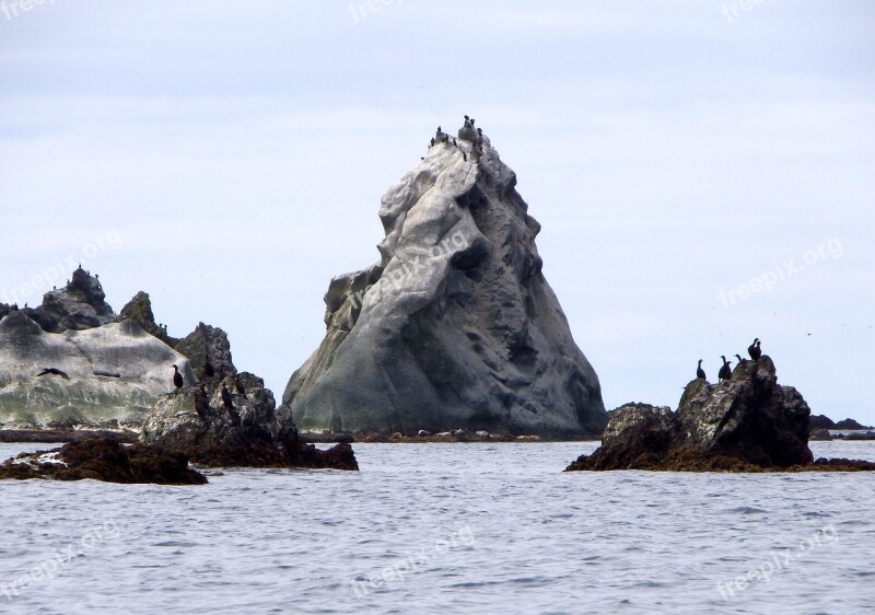 Bird Colonies Rocks Islands In The Ocean Bay Gulls