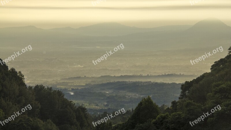 Nature Landscape Foggy Forest Mist