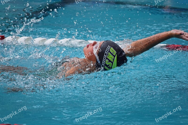 Young Swimmer Backstroke Swim Meet Swimming Activity