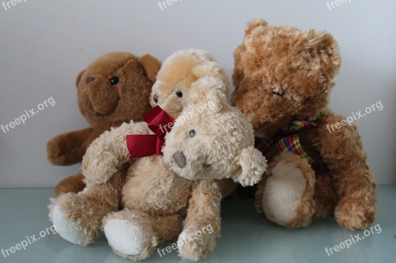 Teddy Bear Soft Toy Cute Fur