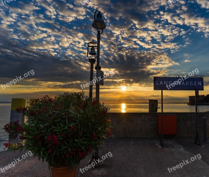 Sunset Nature Landscape Background Image Hibiscus