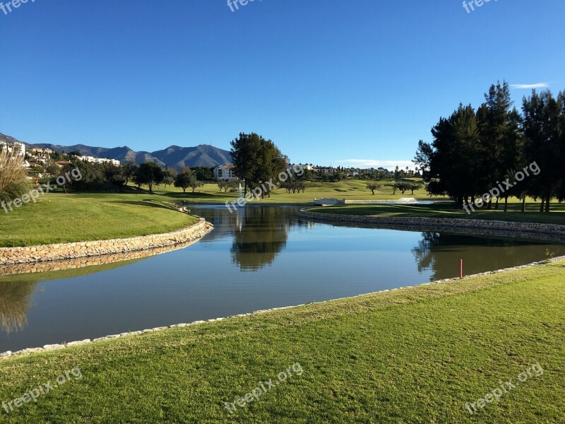 Golf Golf Course Field Nature Summer