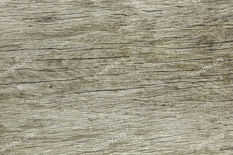 Old Wood Wood Material Texture Wood Free Photos