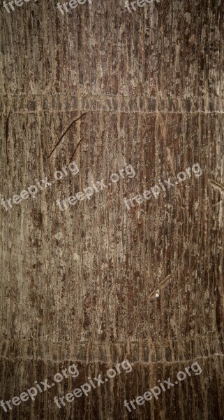 Abstract Aging Background Bark Brown