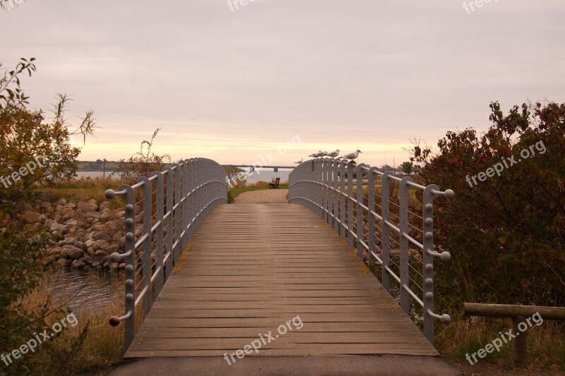 Bridge Fench Autumn Harbour Path