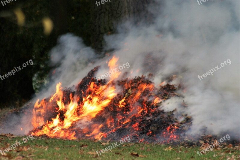 Fire Smoke Bonfire Autumn Free Photos