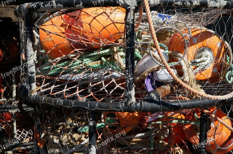 Crab Pot Buoys Fish Seafood