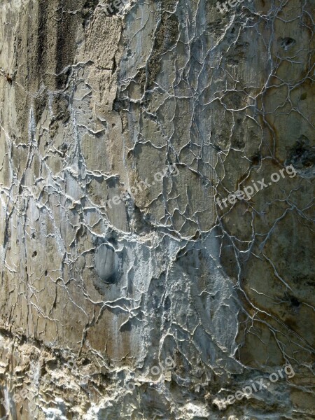 Cement Leaching Minerals Aging Concrete