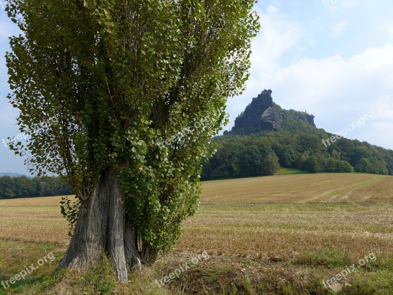 Saxon Switzerland Elbe Sandstone Mountains Lily Stone Tree Mountain