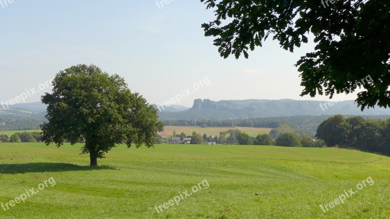 Schrammsteine View Schrammstein Viewpoint Elbe Sandstone Mountains Tree Green