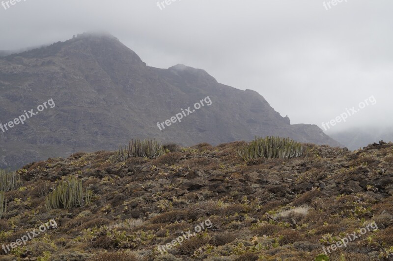 Landscape Cactus Karg Plant Nature