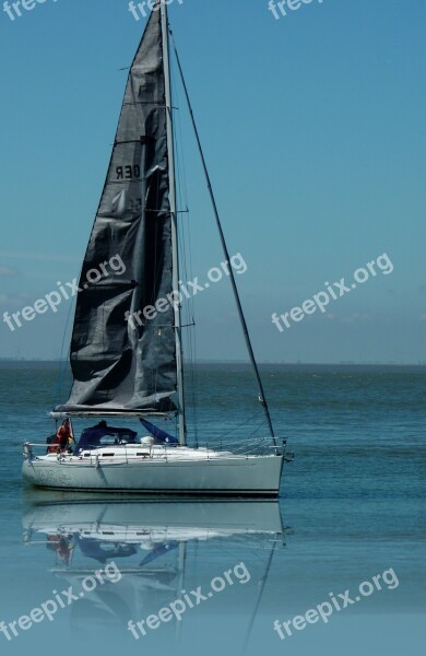 Sail Sailing Water Sports Water Sea