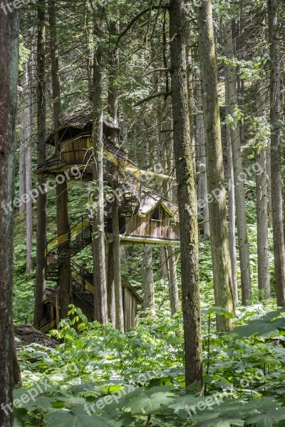 Tree House Treehouse Unique Jungle