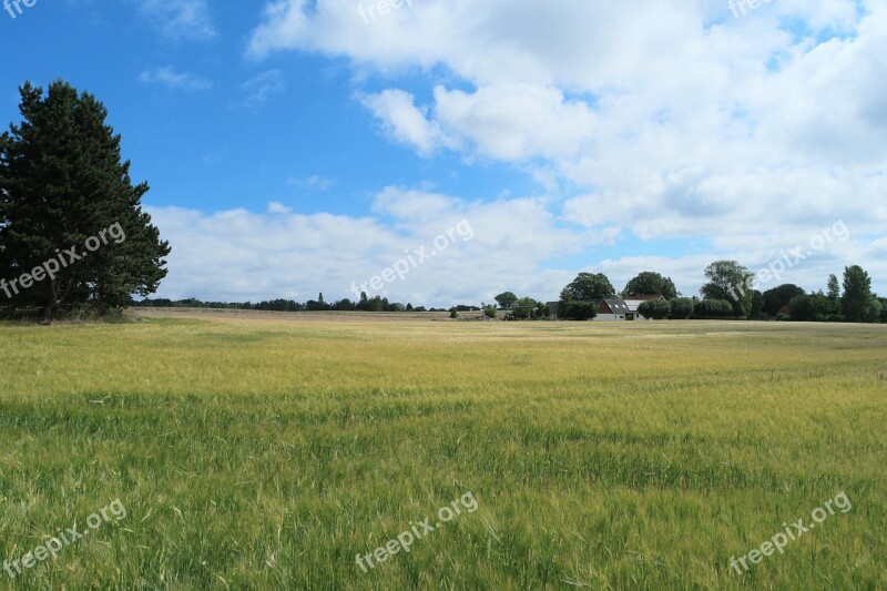 Summer Mark Agriculture Landscape Yellow