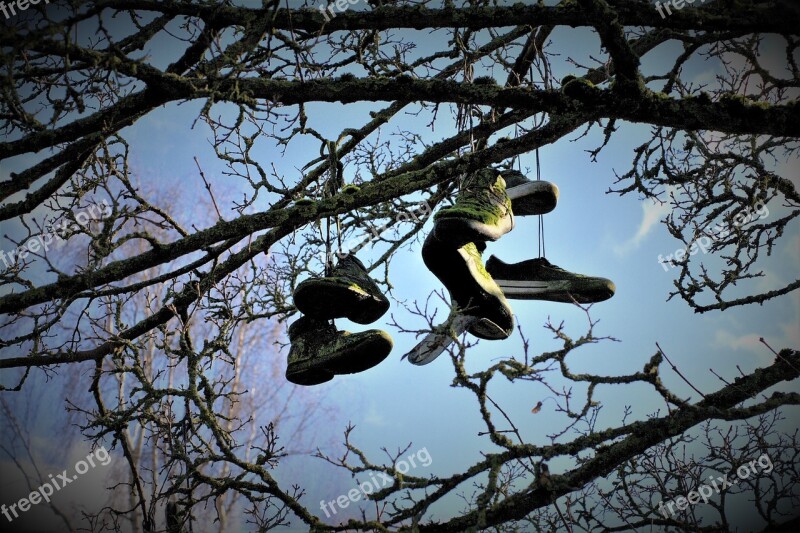 Shoe Tree Skaters Heaven Air