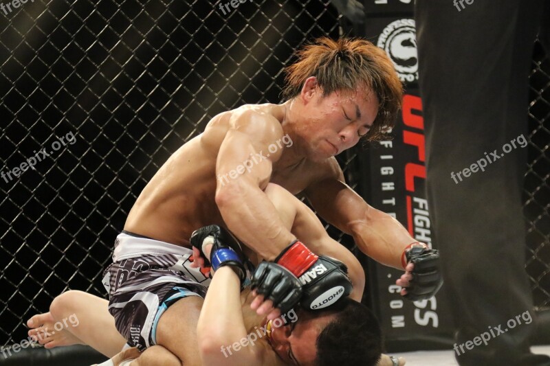 Mma Mixed Martial Arts Japan Japao Cage