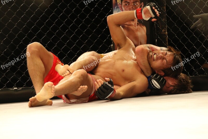 Mma Mixed Martial Arts Japan Japao Cage