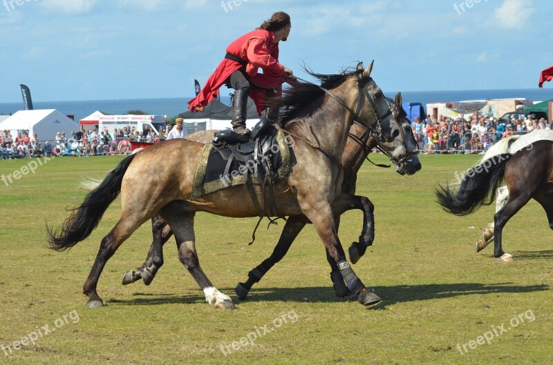 Stunt Riding Cromer Carnival Horse Riding Tricks Free Photos