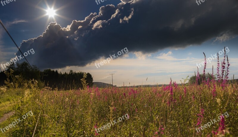 Landscape Nature Meadow Clouds Backlighting