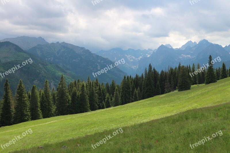 Poland Rusinowa Logs Mountains Polish Tatras Landscape