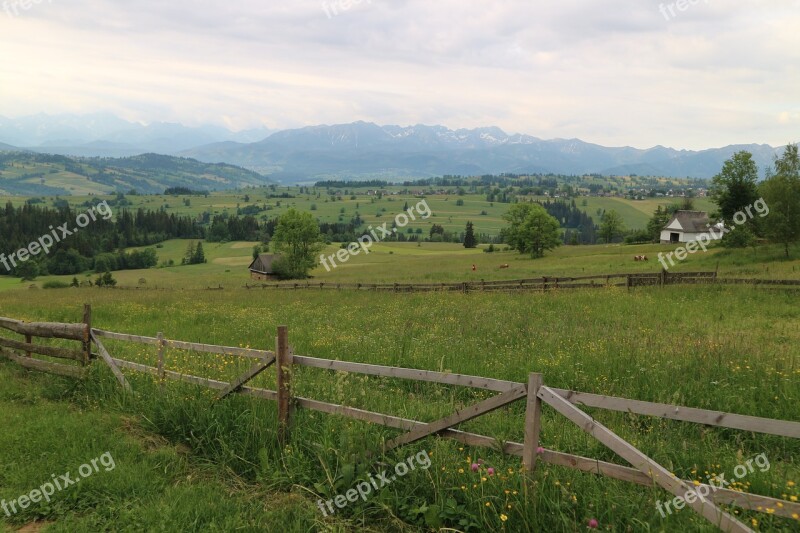 Mountains Meadow Poland Polish Tatras Panorama