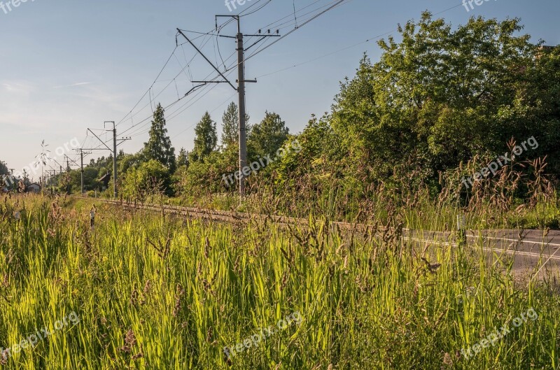 Landscape Beauty Russia Summer Heat