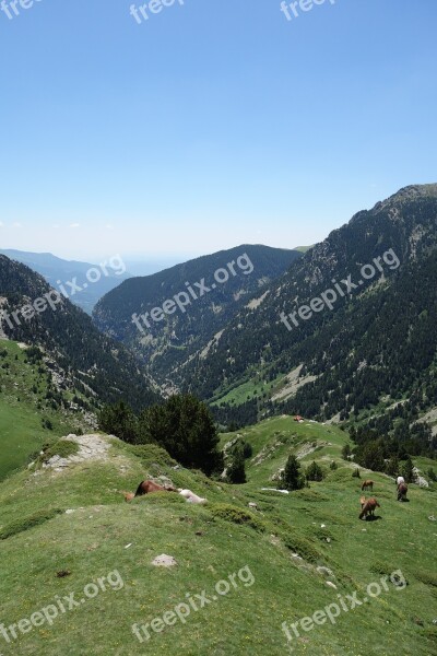 Vall De Nuria Pyrenees Catalonia Spain Free Photos