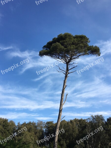 South France Southern France Landscape Quiet Place