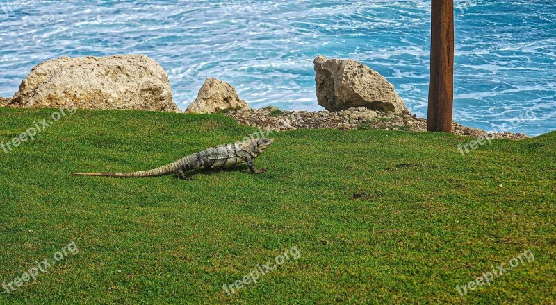 The Lizard Relax Ocean Holidays Sea