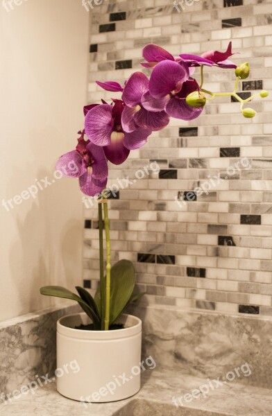 Tile Mosaics Orchid Modern Wall