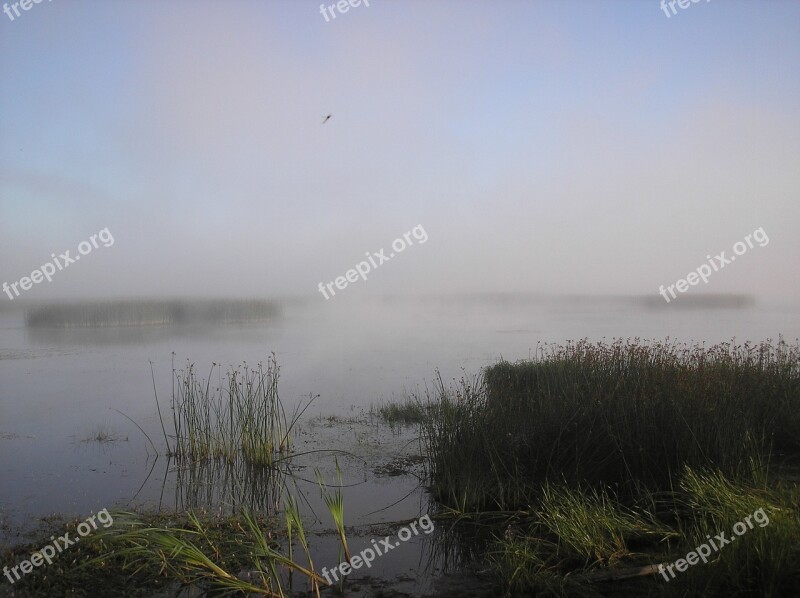 River Fog Beach Sky Morning