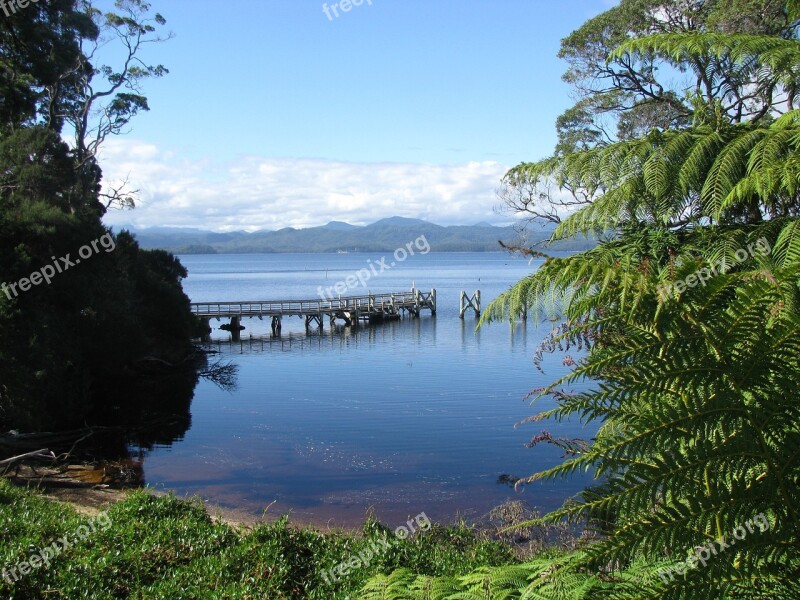 Lake Still Lake St Clair Tasmania Peaceful