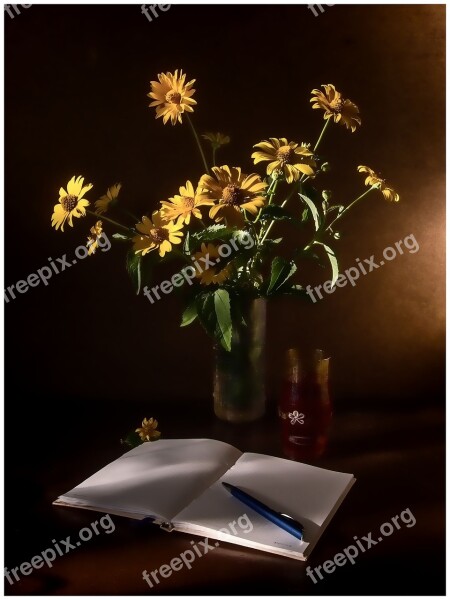 Still Life Chamomile Notebook Free Photos