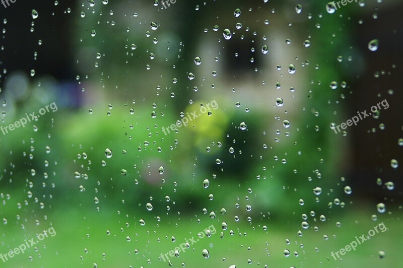 Rain Drop Window Drop Water Free Photos