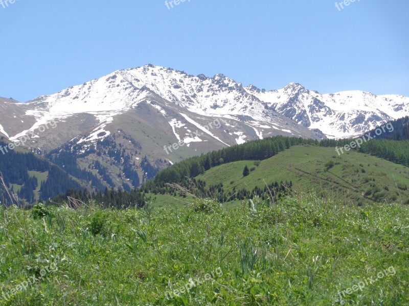 Snowy Picks Central Asia Green Grass And Mountains Free Photos