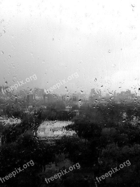 Rain Window B W Free Photos