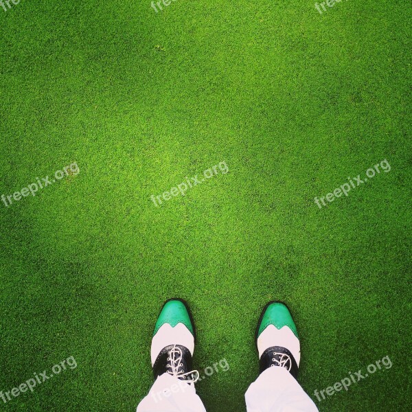 Golf The Golfcourse Green Grass Green Grass