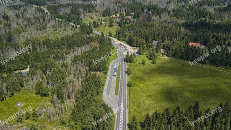 Resin Road Forest Trees Germany