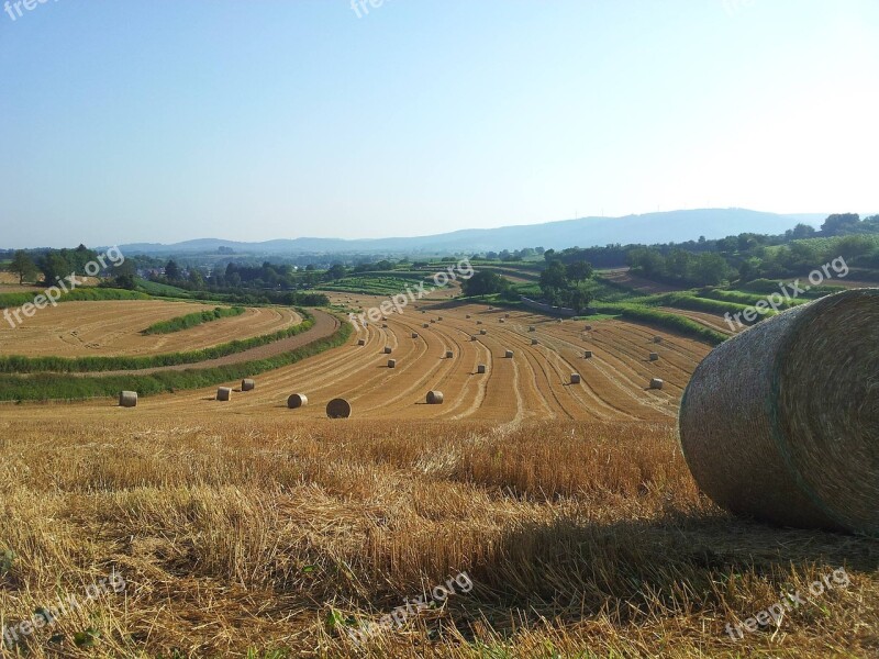 Straw Autumn Straw Bales Harvest Agriculture