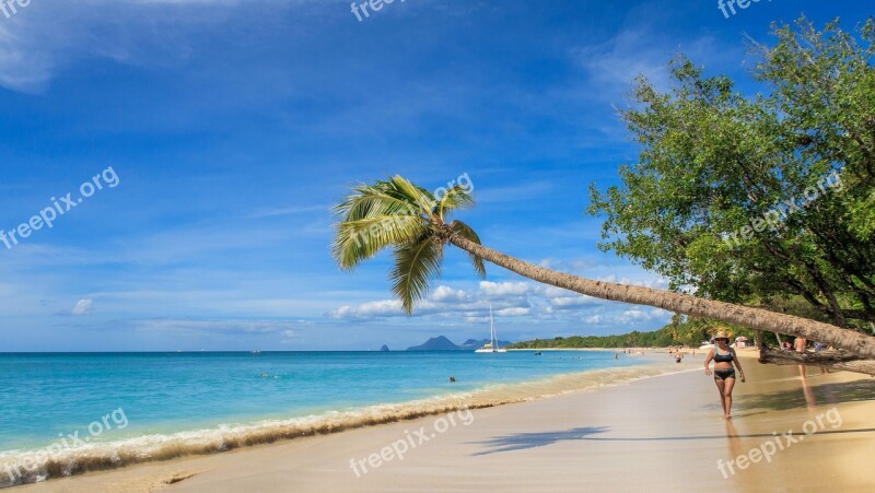 Martinique Caribbean Island Beach Sea