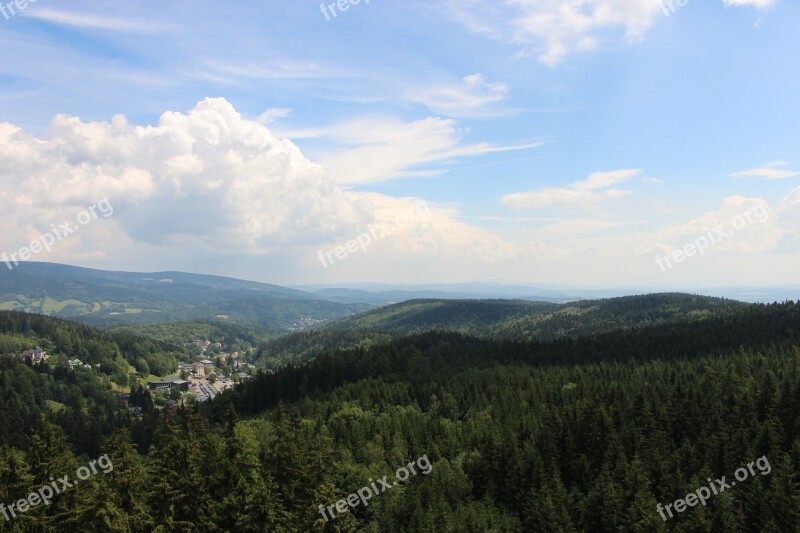 The Giant Mountains Nature Czech Republic Forest Trees