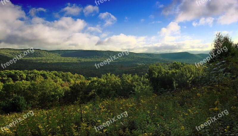 Tree Natural Forest Neck The Horizon