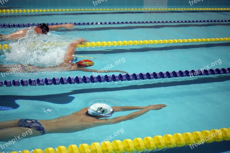 Swimming Game Diving Departure Pool