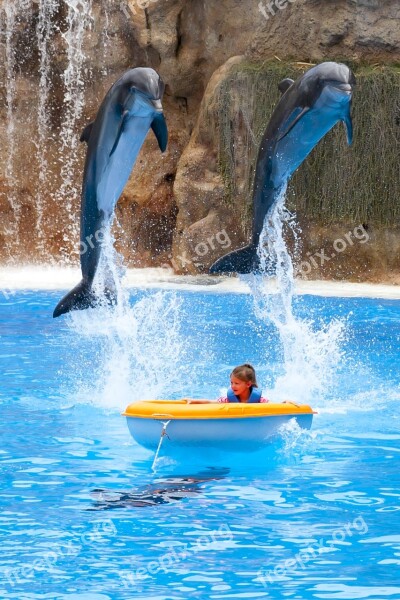 Child Dolphins Boat Water Dressage