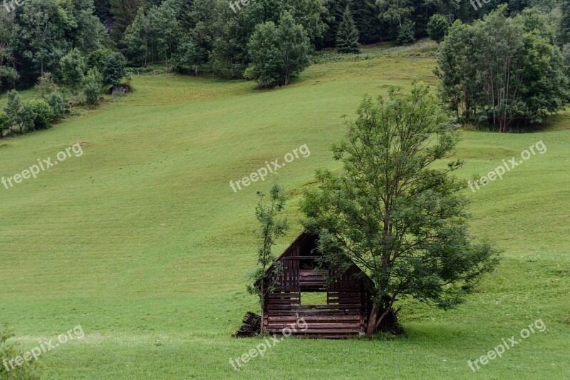 Alm Meadow Landscape Mountain Meadow Alpine Landscape