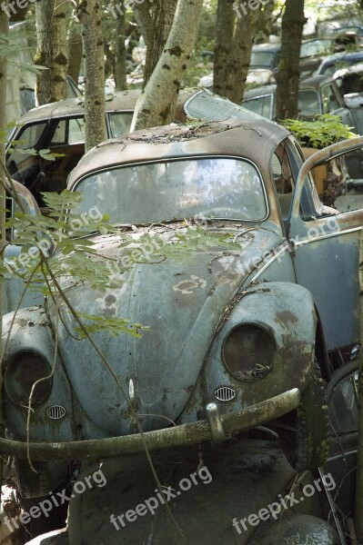 Auto Car Cemetery Oldtimer Rust Stainless Karre